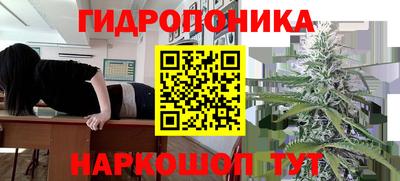 винт Кингисепп