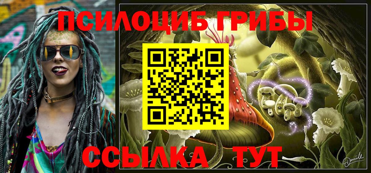 Галлюциногенные грибы Cubensis  Галлюциногенные грибы мухоморы  Вход с VPN  Кольчугино 