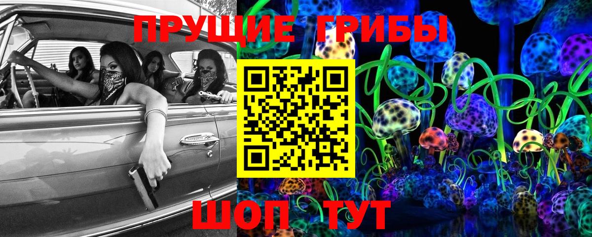 Псилоцибиновые грибы мицелий Кольчугино